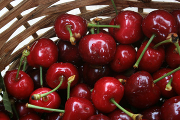 Cherries fruit