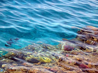 coral sandbank in bay Sharm-el-Maya