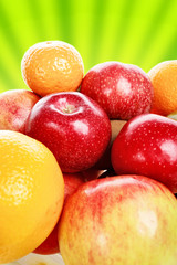 fruits harvest