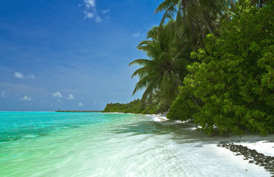 Einsamer tropischer Strand