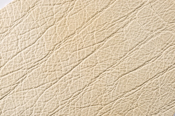 Texture cuir naturel