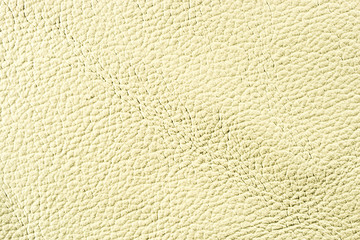 Natural leather texture