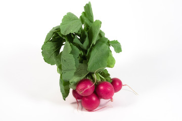 A bunch of fresh radishes on white background