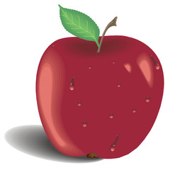 Red apple with green leaf