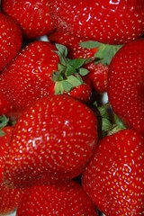 red strawberries