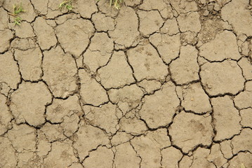 Mud, Mud, Glorious Mud