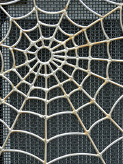 Silvery Web