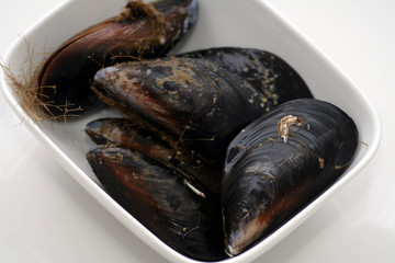 Miesmuscheln
