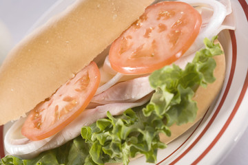 Turkey Sandwich