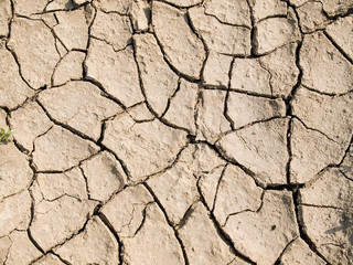 Cracked ground