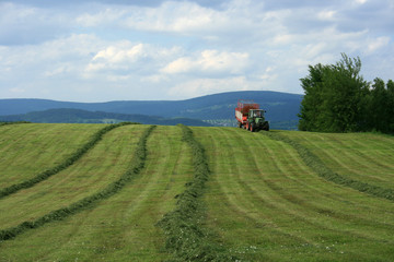 Heuernte