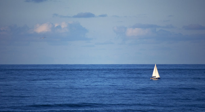Fototapeta Yacht on the North Sea
