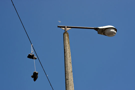 I grew up and flew away