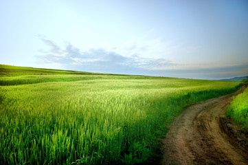 Rural landscape with road