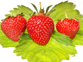 strawberry
