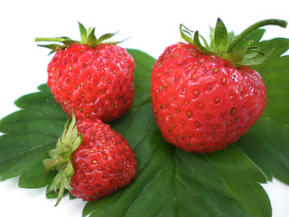 strawberries