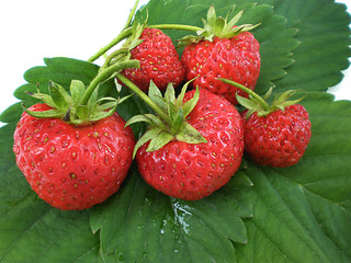 strawberries