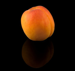 A fresh ripe Apricot on a black reflective surface