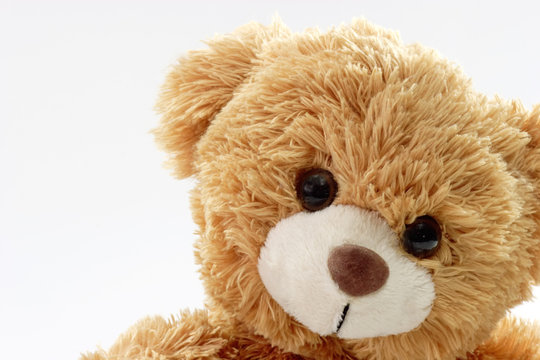 Teddyb&auml;r