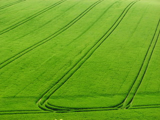 Fahrspur