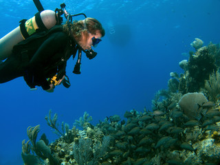 Woman Scuba Diver looking at A School of Fish