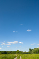 Obraz na płótnie Canvas Winding path on green meadow under blue sky