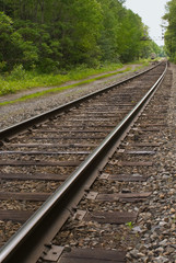 Fototapeta premium Railroad, train tracks in forest, leading to the horizon