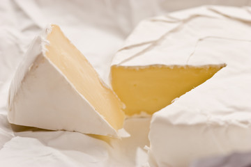 cheese © AGphotographer