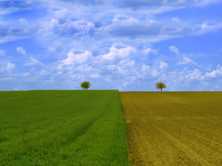 Obraz premium Couple three on the field