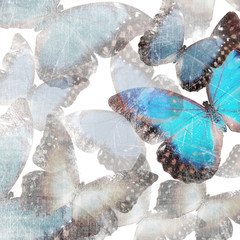 background with marble butterflies
