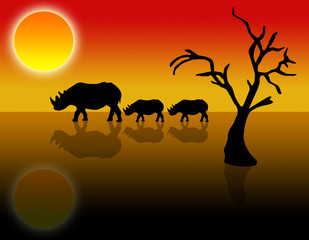 Nashorn in der Wüste