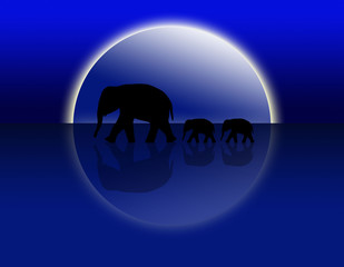 Elefanten in der Wüste