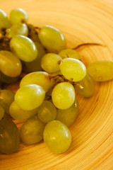 grapes detail in La Rioja, Spain, Europe