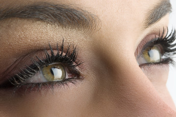 the look
