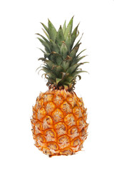 isolated pineapple