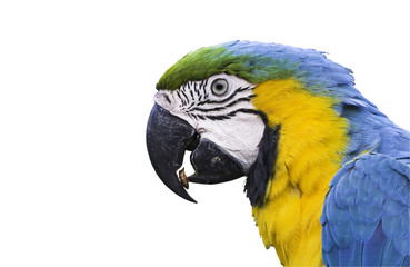 Peanut snack for one