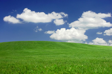 Mown grass hills under a dreamy sky