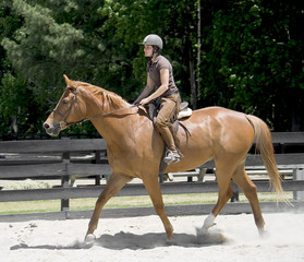 Young woman horseback riding