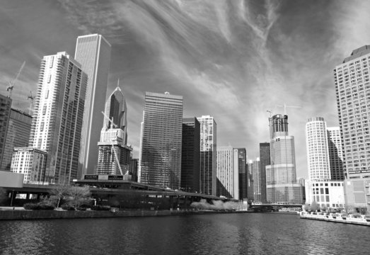 Fototapeta The Chicago skyline
