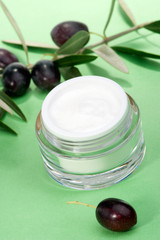 Face cream and olive twig