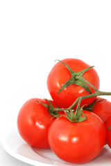 tomato branch isolated on white
