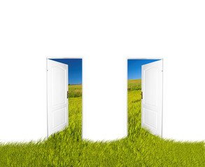 Doors to the new world