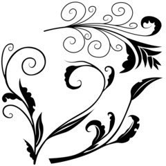 Floral elements H - popular floral segments