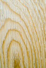 Close-up Wood Grain