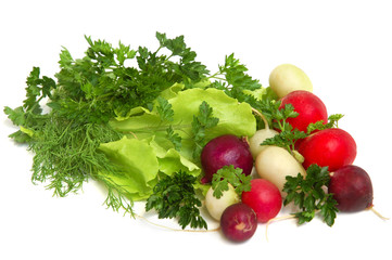 Fresh tasty greens and