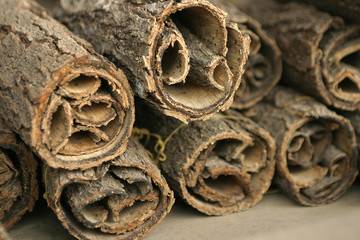 Rolls of bark