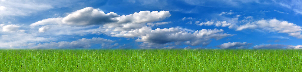 Blue sky with grass