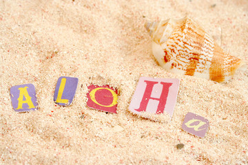 hawaii beach © GVictoria