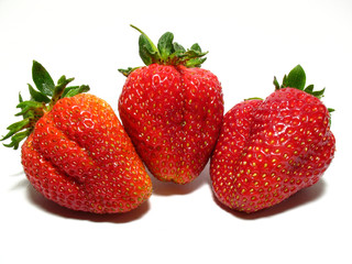 Strawberrys