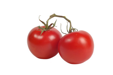 Fresh red ripe tomato's